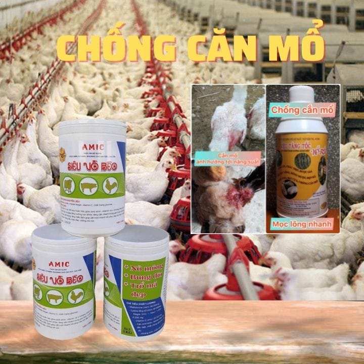 Thuốc siêu tăng trọng cho gà, vịt, heo, bò,...: AMIC SIÊU VỖ BÉO