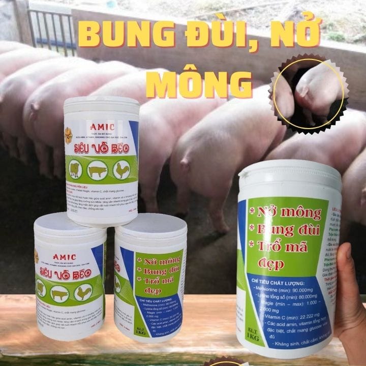 Thuốc siêu tăng trọng cho gà, vịt, heo, bò,...: AMIC SIÊU VỖ BÉO