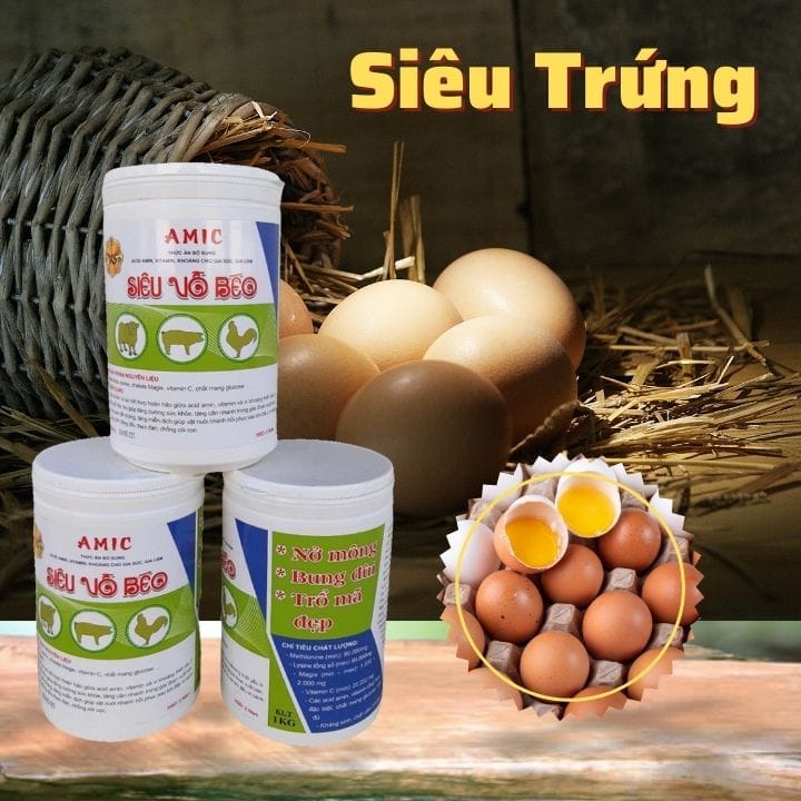 Thuốc siêu tăng trọng cho gà, vịt, heo, bò,...: AMIC SIÊU VỖ BÉO
