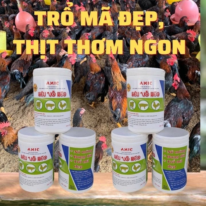 Thuốc siêu tăng trọng cho gà, vịt, heo, bò,...: AMIC SIÊU VỖ BÉO