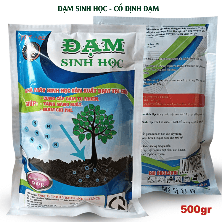 Phân vi sinh vật cố định Đạm: Đạm Sinh Học