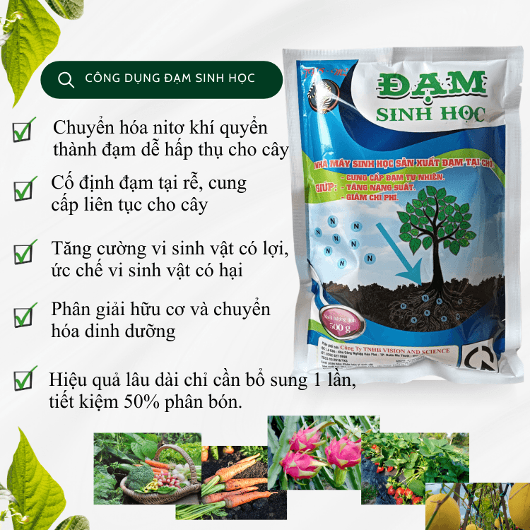 Phân vi sinh vật cố định Đạm: Đạm Sinh Học