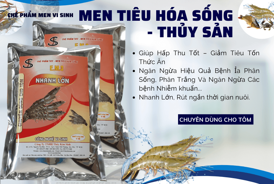 Men vi sinh nhanh lớn chuyên dùng cho Tôm Men vi sinh nhanh lớn chuyên dùng cho Tôm
