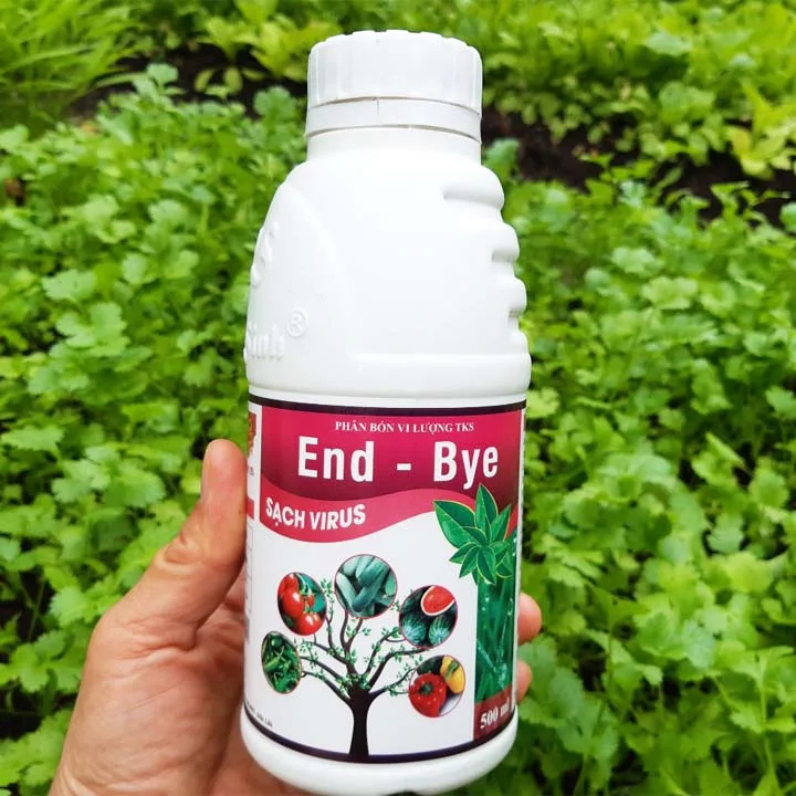 ENDBYE: Chế Phẩm Đặc Trị Virus Khảm Lá, Xoăn Chùn Ngọn ENDBYE: Chế Phẩm Đặc Trị Virus Khảm Lá, Xoăn Chùn Ngọn - Hình ảnh 5