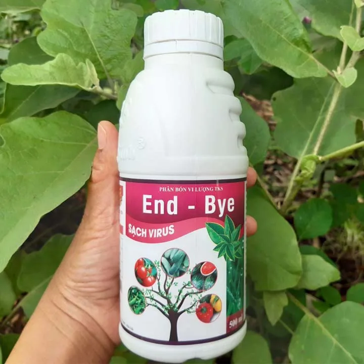ENDBYE: Chế Phẩm Đặc Trị Virus Khảm Lá, Xoăn Chùn Ngọn ENDBYE: Chế Phẩm Đặc Trị Virus Khảm Lá, Xoăn Chùn Ngọn - Hình ảnh 4