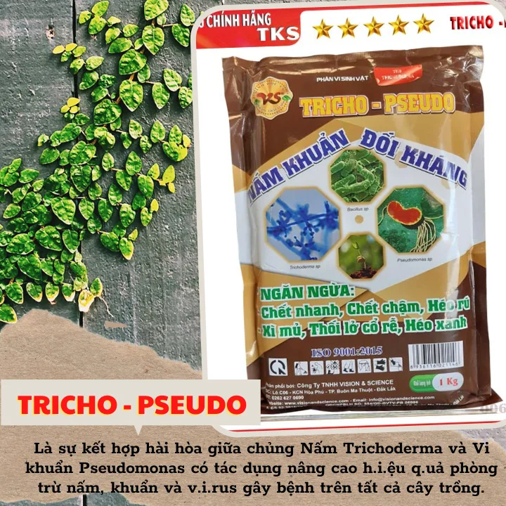 Nấm Tricho - Pseudo: Vi Nấm đối kháng bệnh cho cây trồng - Hình ảnh 2