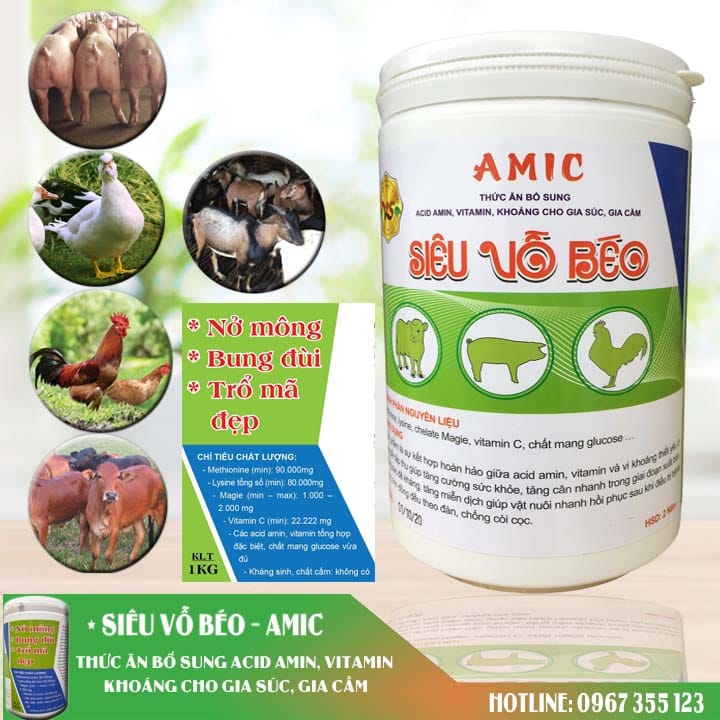 Thuốc siêu tăng trọng cho gà, vịt, heo, bò,...: AMIC SIÊU VỖ BÉO