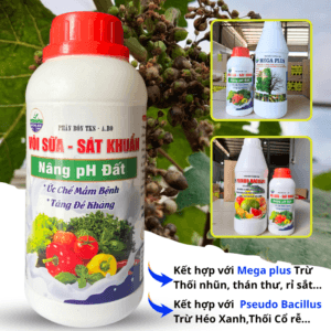 VÔI SỮA: Nâng pH, Hạ Phèn Nhanh, Diệt Khuẩn - Chai 500ml VOI SUA 500ML M 7