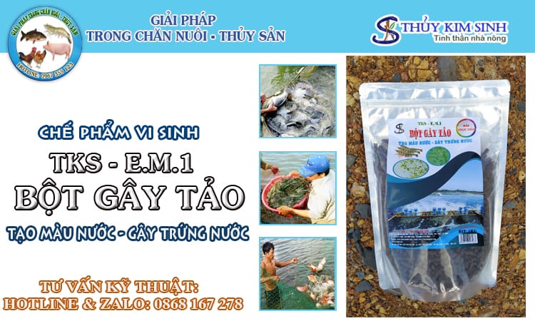 Bột Gây Tảo: Tạo nước tảo, gây trứng nước (1kg)