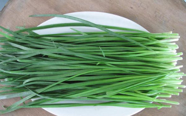 HẠT GIỐNG CÂY HẸ TA