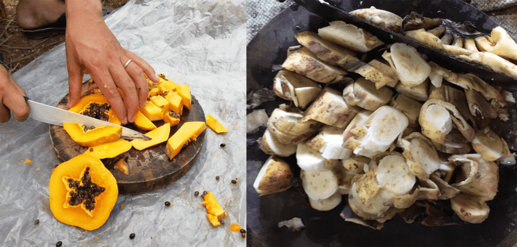 Men vi sinh Ủ dịch chuối, trái cây làm phân - Chai 500ml