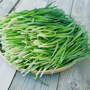 Thời gian nảy mầm: 4-8 ngày Tỷ lệ nảy mầm > 80%