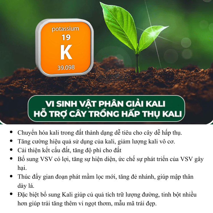 KaLi Sinh Học: Vi sinh chuyển hóa Kali khó tan gói 500gr