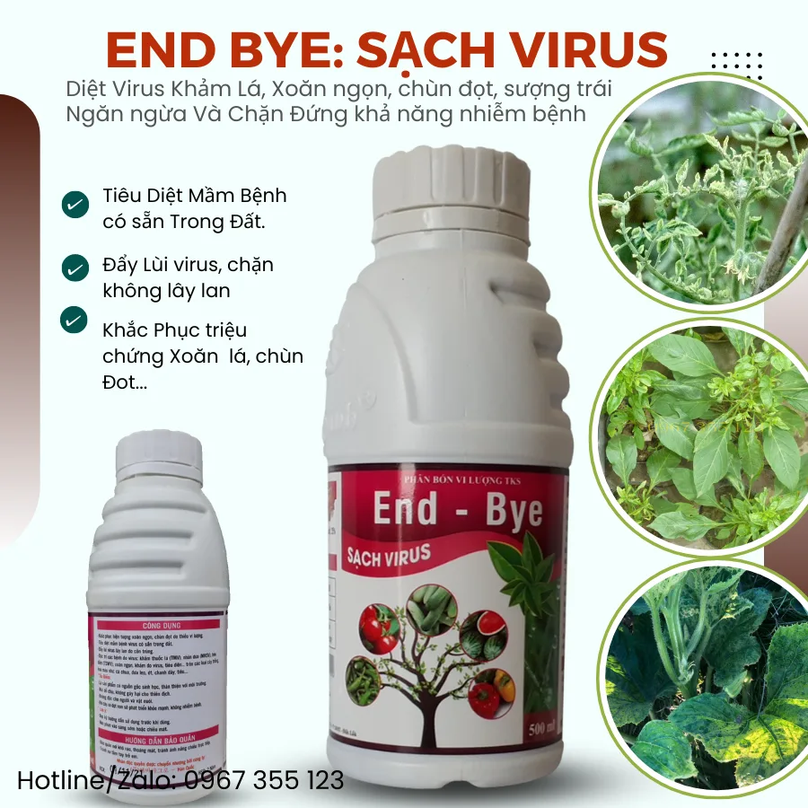 ENDBYE: Chế Phẩm Đặc Trị Virus Khảm Lá, Xoăn Chùn Ngọn kham la da co end bye 2