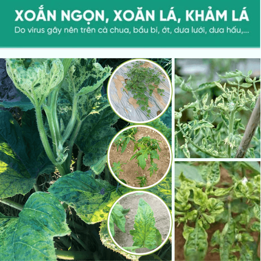 kham la da co end bye JPG