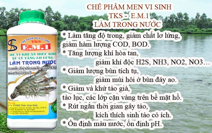 Chế phẩm EM1: Men vi sinh làm trong nước ao hồ nuôi