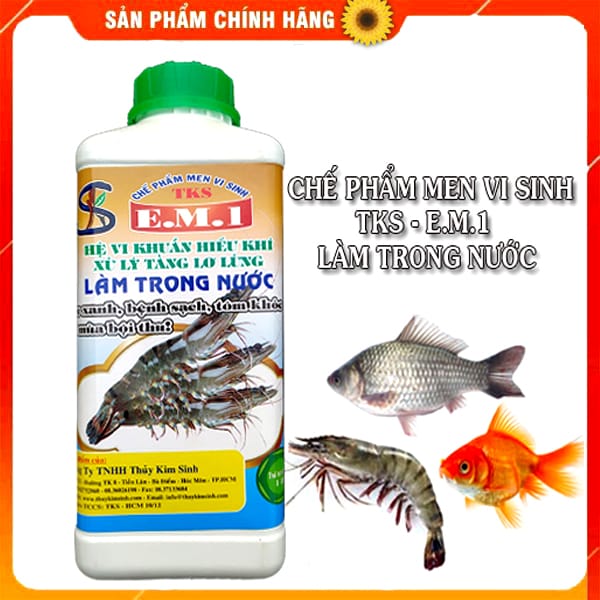 Chế phẩm EM1: Men vi sinh làm trong nước ao hồ nuôi