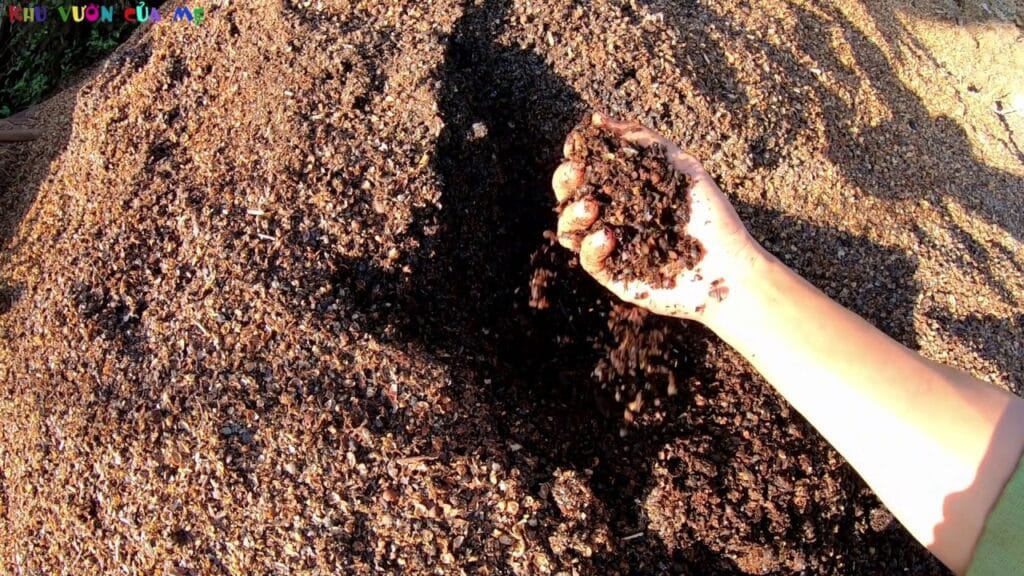 Men Ủ phân vi sinh, ủ vỏ cà phê, rác thải hữu cơ: M2