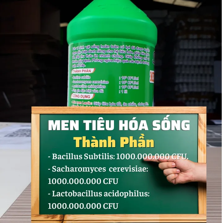 Men tiêu hóa sống cho gà, heo, vịt,... Chai 1 lít - Hình ảnh 3