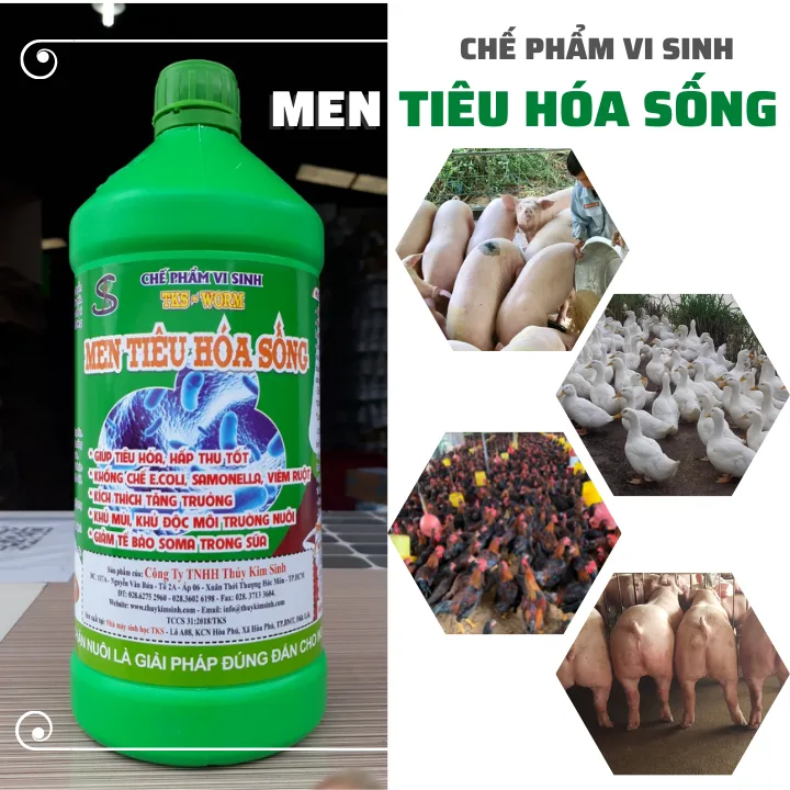 Men tiêu hóa sống cho gà, heo, vịt,... Chai 1 lít - Hình ảnh 6