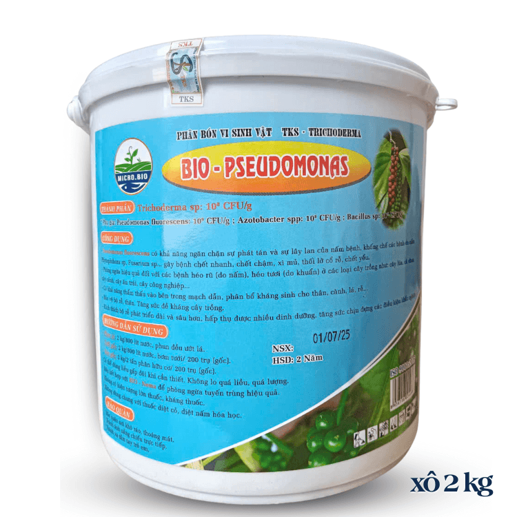 Bio PSEUDOMONAS dạng bột: Trừ nấm Phytopthora, Fusarium,...