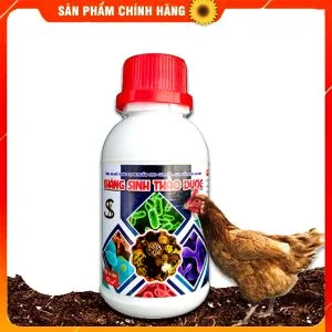 Kháng Sinh Tự Nhiên TKS - Phòng Trị Bệnh Gia Súc Gia Cầm