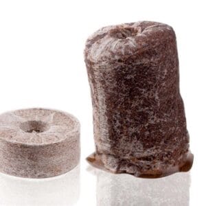 288836238 329555382686596 8699126383906630726 n