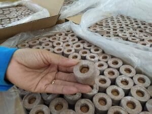 376260024 618876820422996 8956698799802813579 n