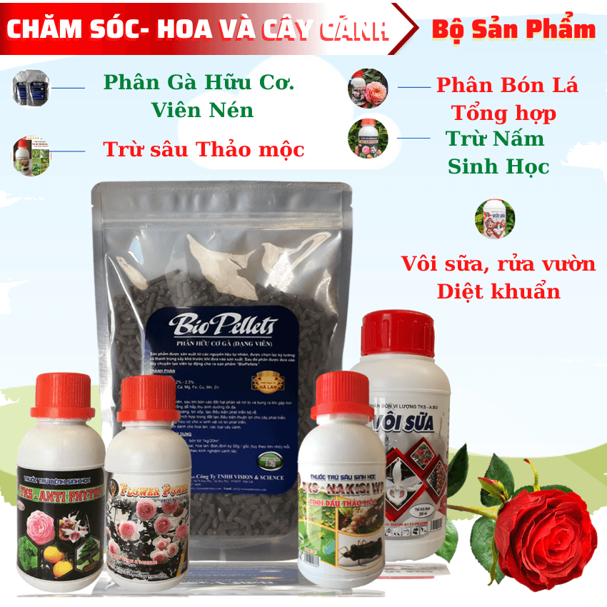 Combo 5 Loại Phân Bón Cây Cảnh, Hoa Cảnh Tốt Nhất, Rẻ