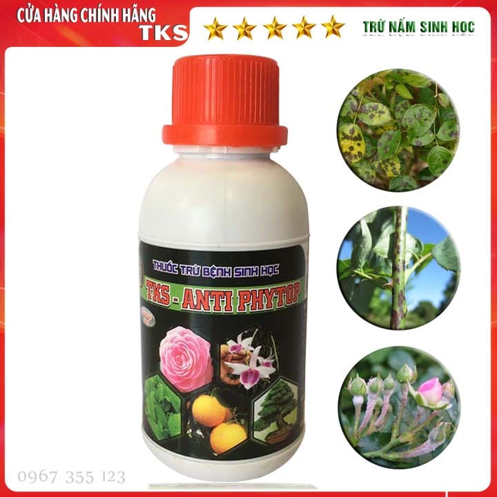 Combo 5 Loại Phân Bón Cây Cảnh, Hoa Cảnh Tốt Nhất, Rẻ