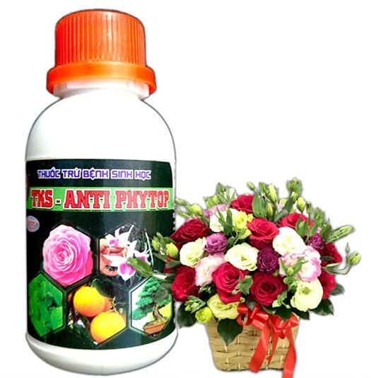 AntiPhytop trừ nấm Phytophthora cho hoa hồng chai 100ml