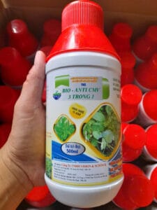 z5849493251383 ccd8981c955787fdcf1a8d42d02ada01