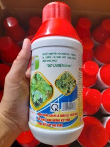 z5849493251384 3284d95fa5ca9eacbc5fb41f39121094