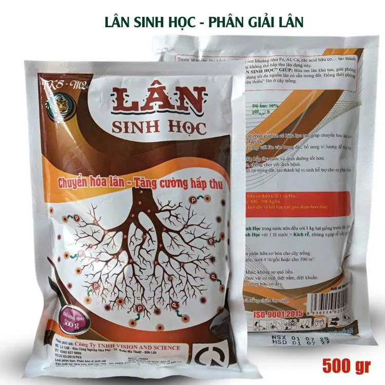 Phân Lân sinh học - Phân giải Lân hữu cơ Phân Lân sinh học - Phân giải Lân hữu cơ