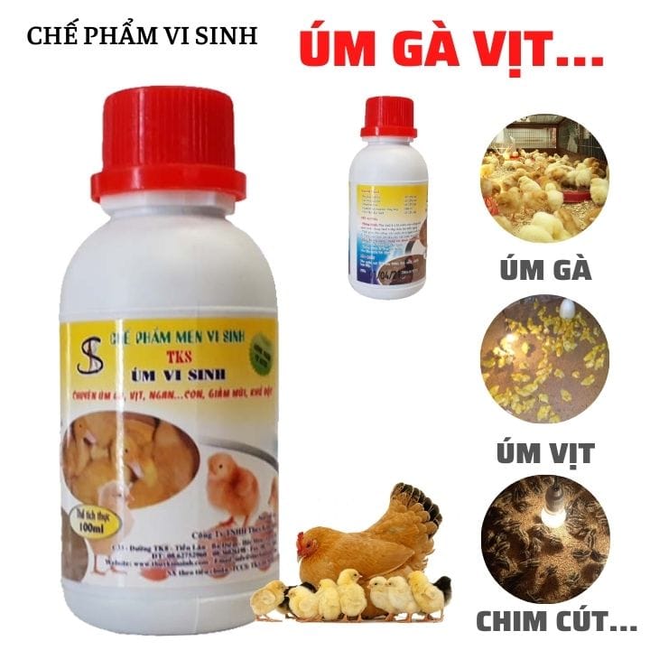 TKS Úm vi sinh: Thuốc ÚM gà con vịt con, gia cầm tốt nhất