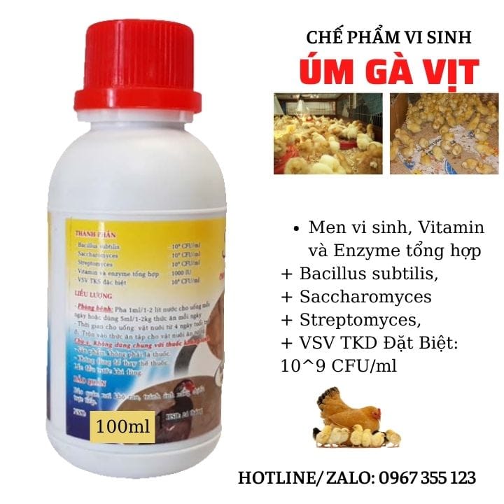 TKS Úm vi sinh: Thuốc ÚM gà con vịt con, gia cầm tốt nhất