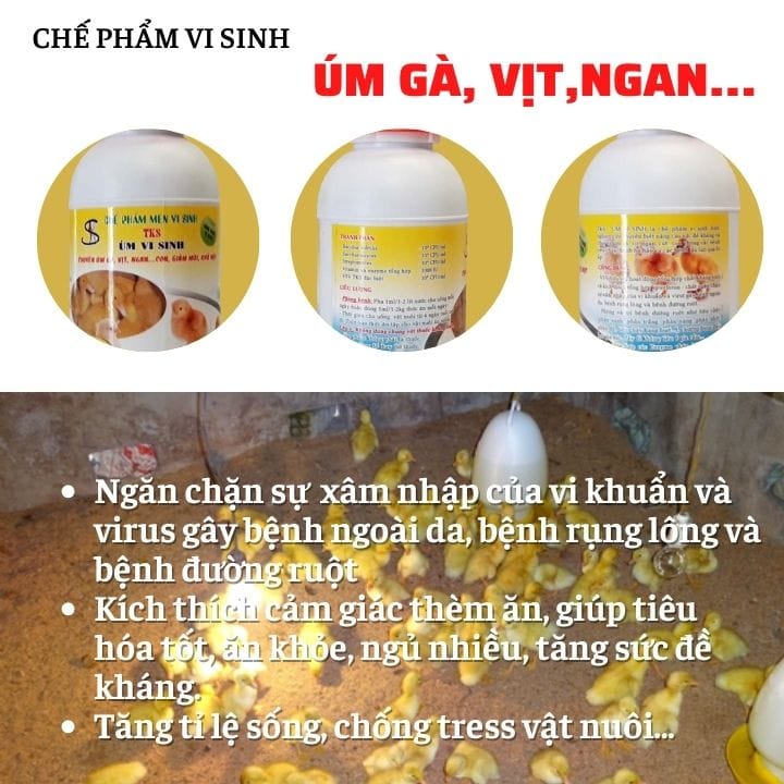 TKS Úm vi sinh: Thuốc ÚM gà con vịt con, gia cầm tốt nhất