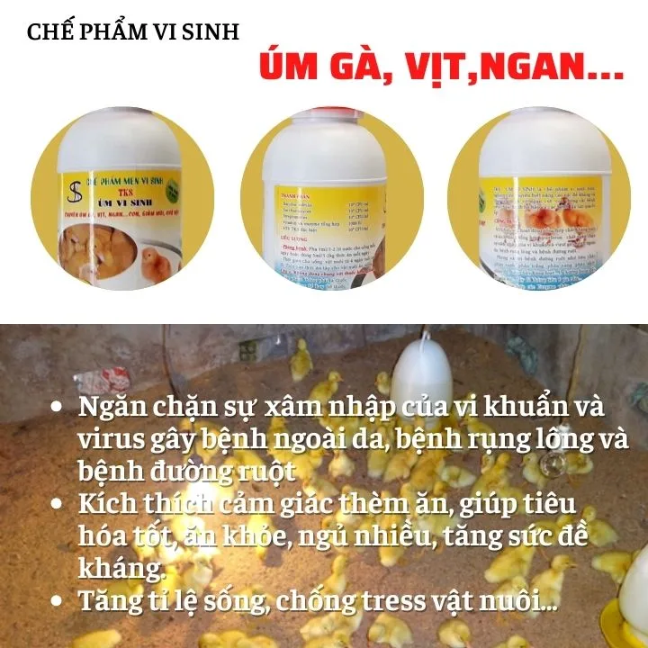 TKS Úm vi sinh: Thuốc ÚM gà con vịt con, gia cầm tốt nhất TKS Úm vi sinh: Thuốc ÚM gà con vịt con, gia cầm tốt nhất