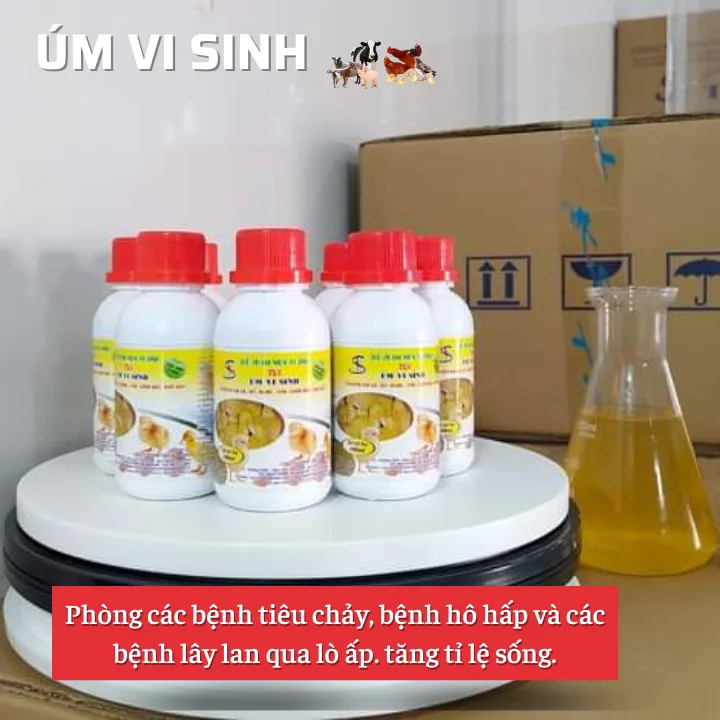 Úm vi sinh: Thuốc ÚM gà con vịt con, gia cầm tốt nhất Úm vi sinh: Thuốc ÚM gà con vịt con, gia cầm tốt nhất - Hình ảnh 4