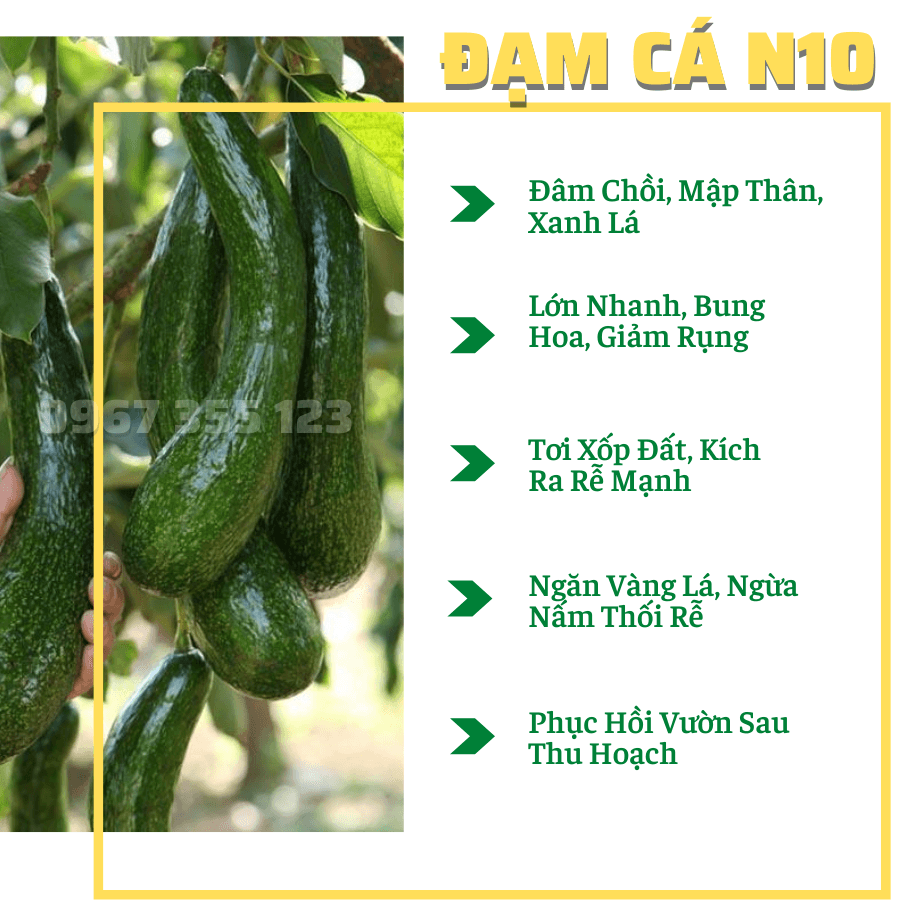 [10L] Đạm Cá Hữu Cơ N10: Ngăn vàng lá, kích rễ mạnh