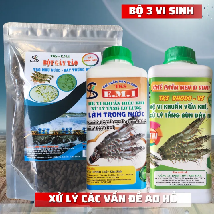 [Bộ 3] Vi Sinh Làm Trong Nước Ao Hồ Nuôi Tôm Cá Thủy Sản - Hình ảnh 2