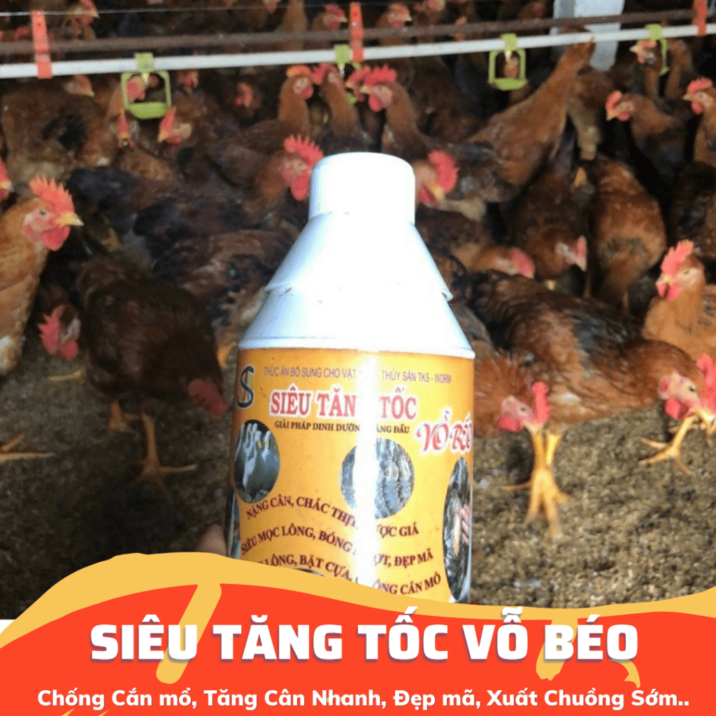 Thức Ăn Chăn Nuôi Thủy Sản, Gia Cầm, Gia Súc Siêu Vỗ Béo