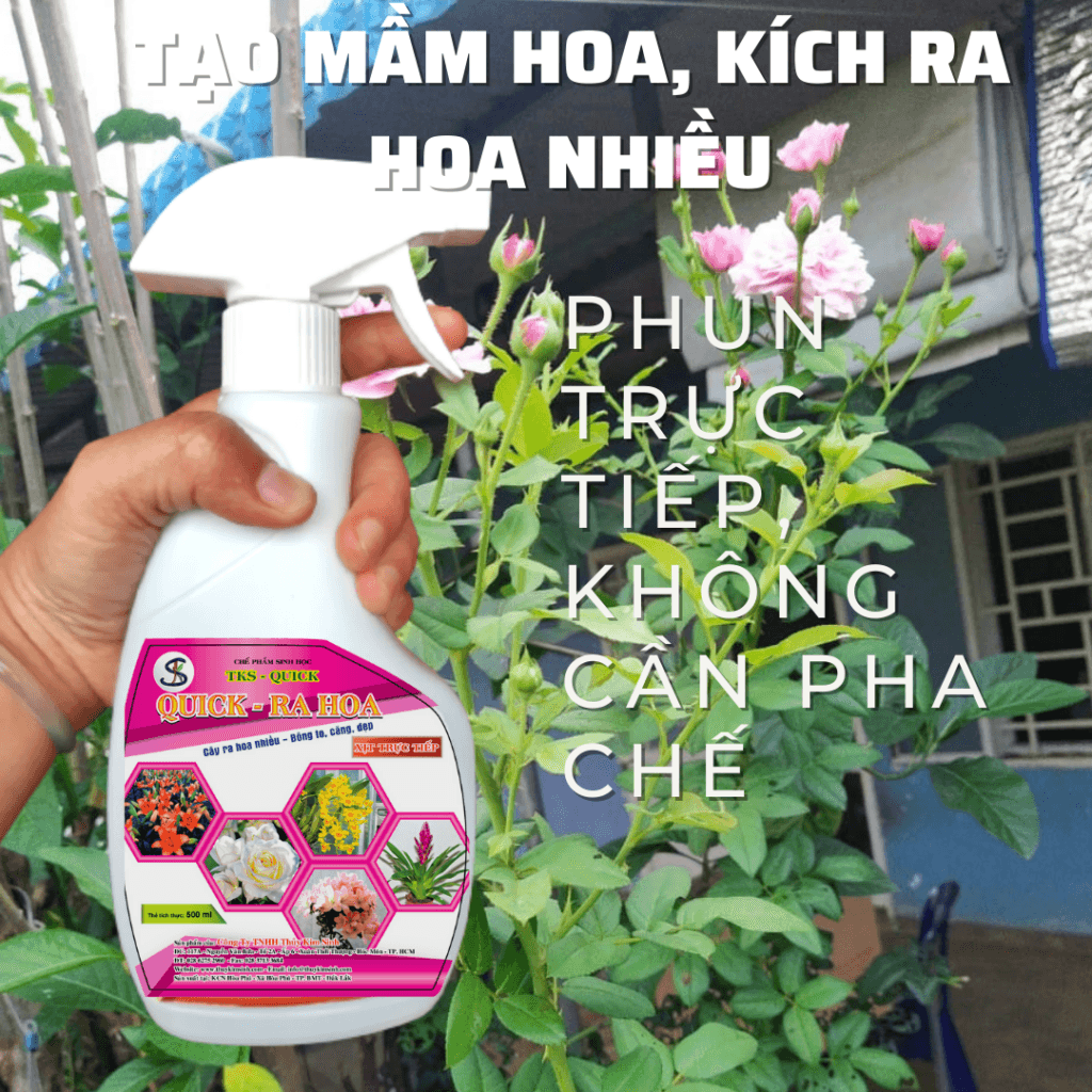 Thuốc Kích Hoa, Dưỡng Hoa Lâu Tàn TKS QUICK - Ra Hoa