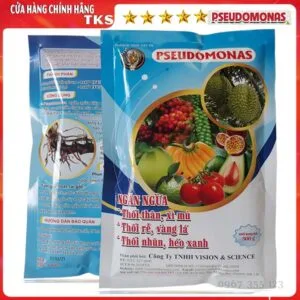 pseudomonas 500GR 24
