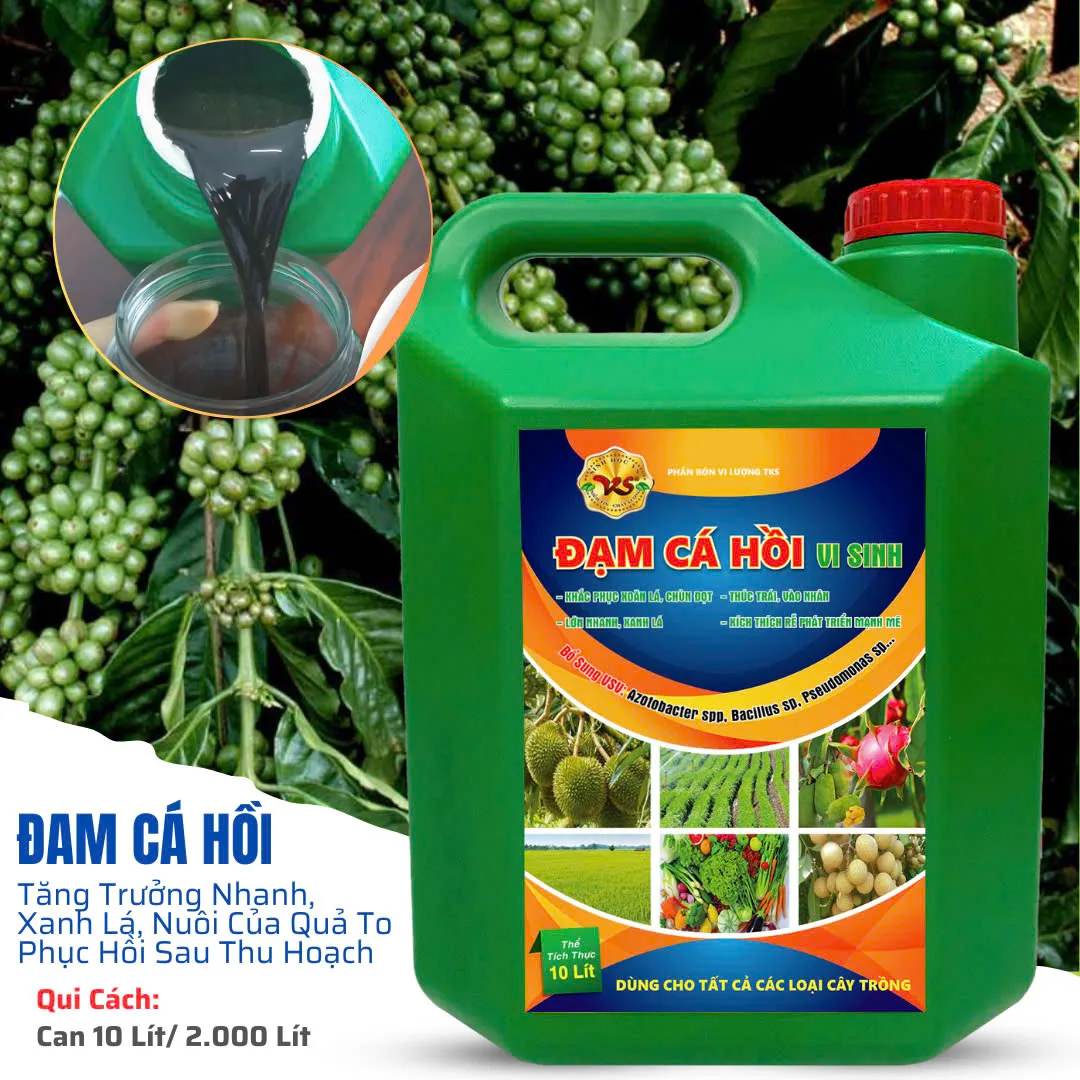 Đạm Cá Hồi Vi Sinh- Can 10 Lít Đạm Cá Hồi Vi Sinh- Can 10 Lít - Hình ảnh 5