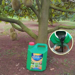 Đạm Cá Hồi Vi Sinh- Can 10 Lít nuoc dma ca hoi 5