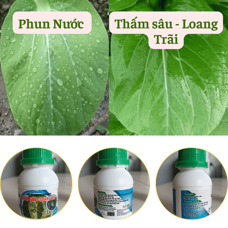 Thấm Sâu Loang Đều : Chất Trợ Lực Trong Nông Nghiệp