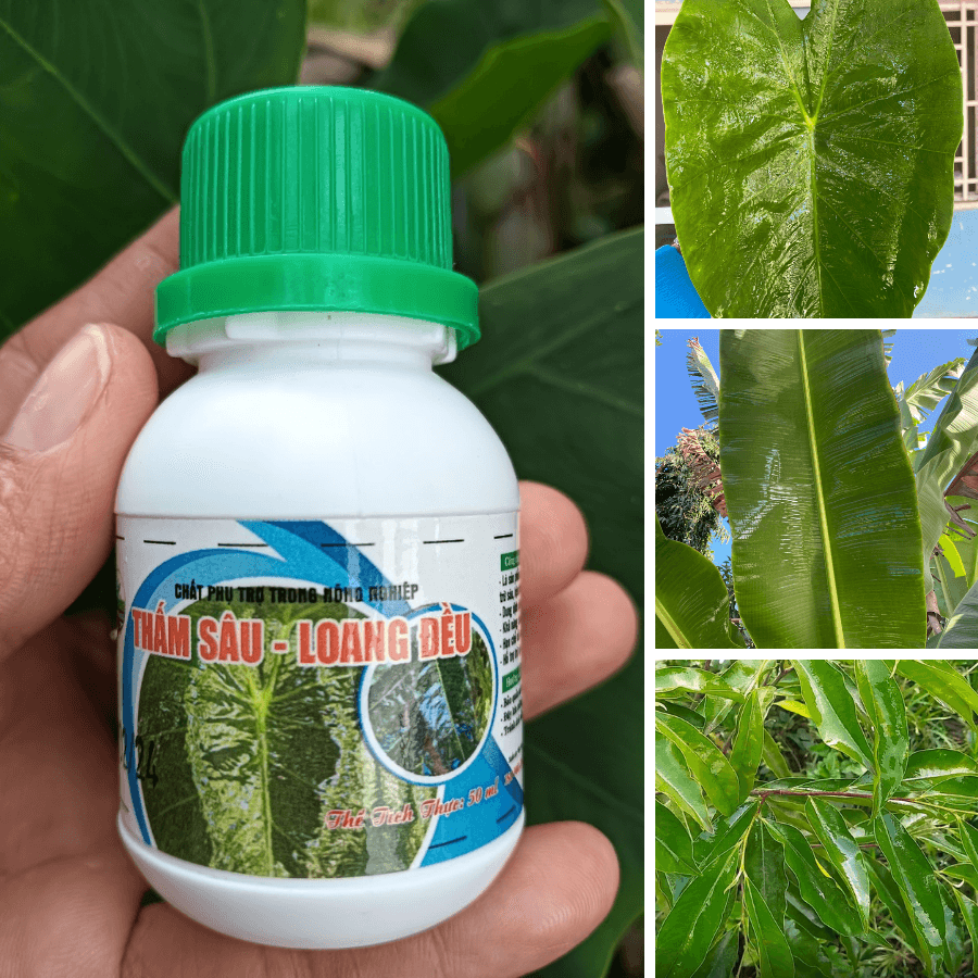 Thấm Sâu Loang Đều : Chất Trợ Lực Trong Nông Nghiệp