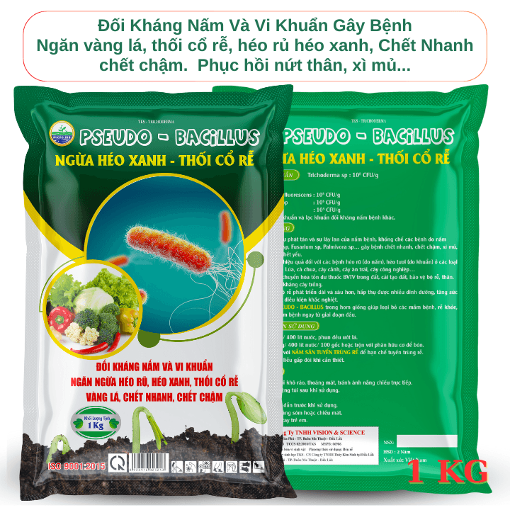 Pseudo Bacillus Trừ bệnh Héo Xanh, Vàng Lá, Thối Cổ Rễ Pseudo Bacillus Trừ bệnh Héo Xanh, Vàng Lá, Thối Cổ Rễ