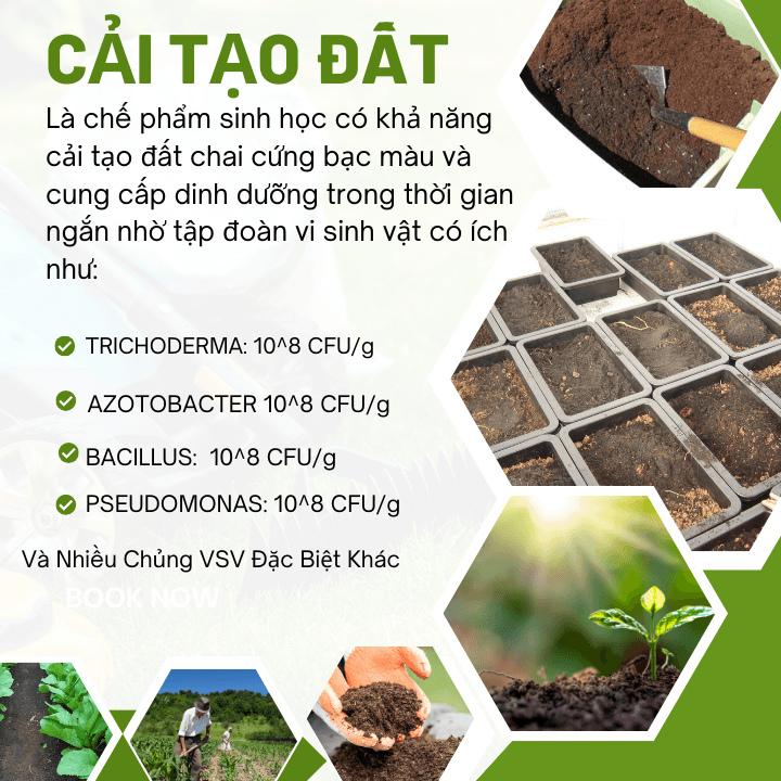 Phân Bón Vi Sinh Cải Tạo Đất TKS – Tơi Xốp Đất, Hạ Phèn, Tăng Dinh Dưỡng